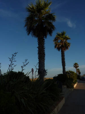 plage_2.jpg