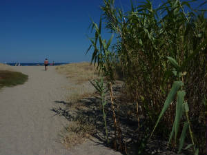 plage_3.jpg